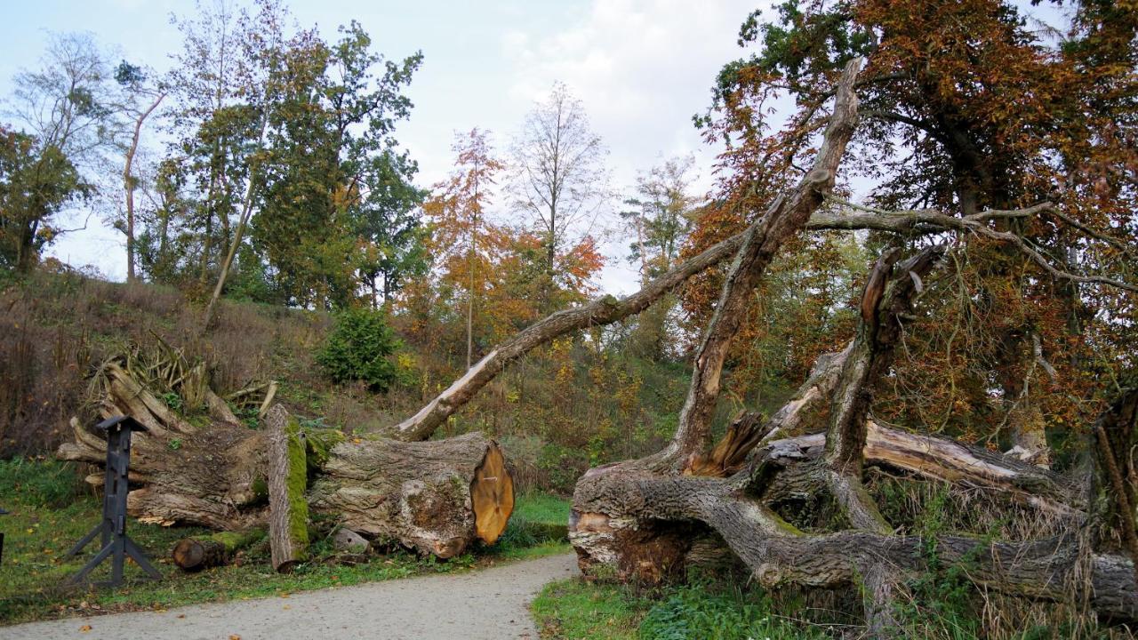 Palac Komierowo Sepolno Krajenskie ภายนอก รูปภาพ